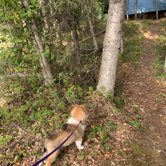 Meet your Posher, Elle. - Picture 2 of 3